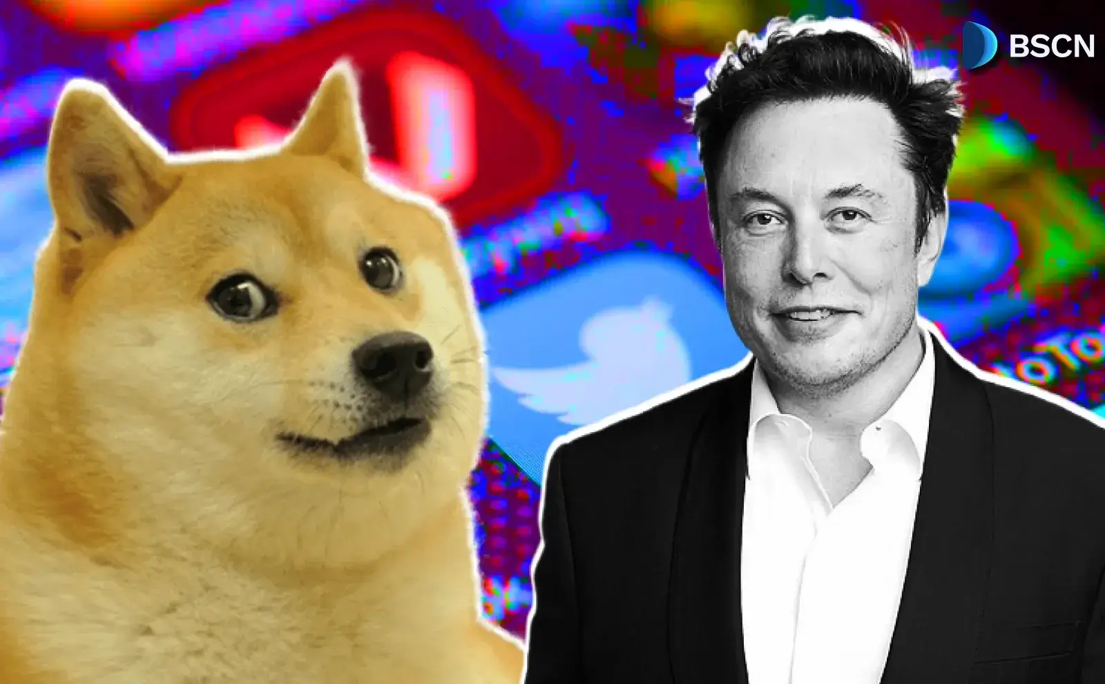 ایلان ماسک دوباره درباره DOGE توییت می‌کند: قدم بعدی چیست؟