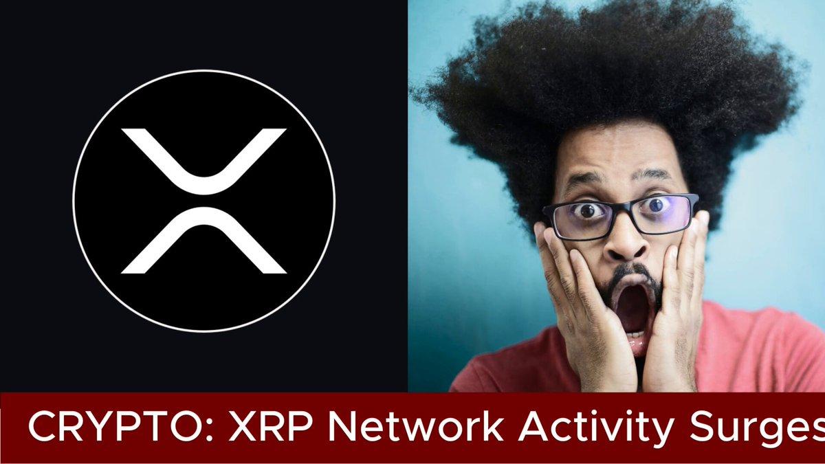 XRP با آدرس‌های فعال تقریباً دو برابر می‌شود