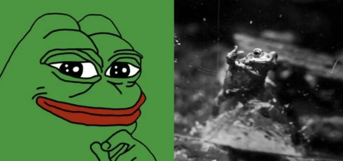 PEPE به تازگی شاهد بزرگترین خروج ارز خود در نزدیک به دو سال گذشته بود