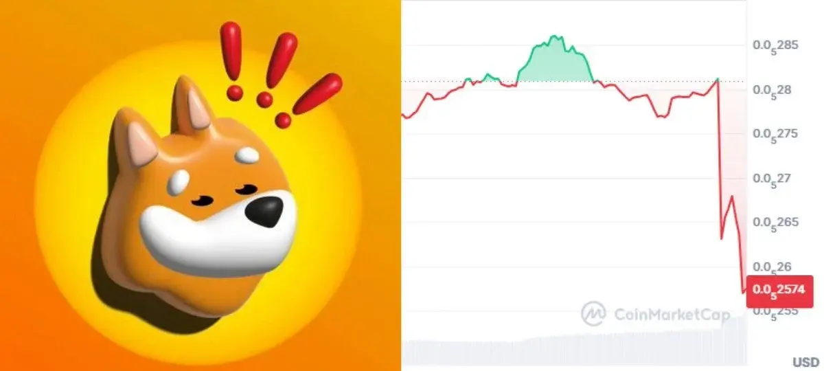 $BONK تاکنون است؟