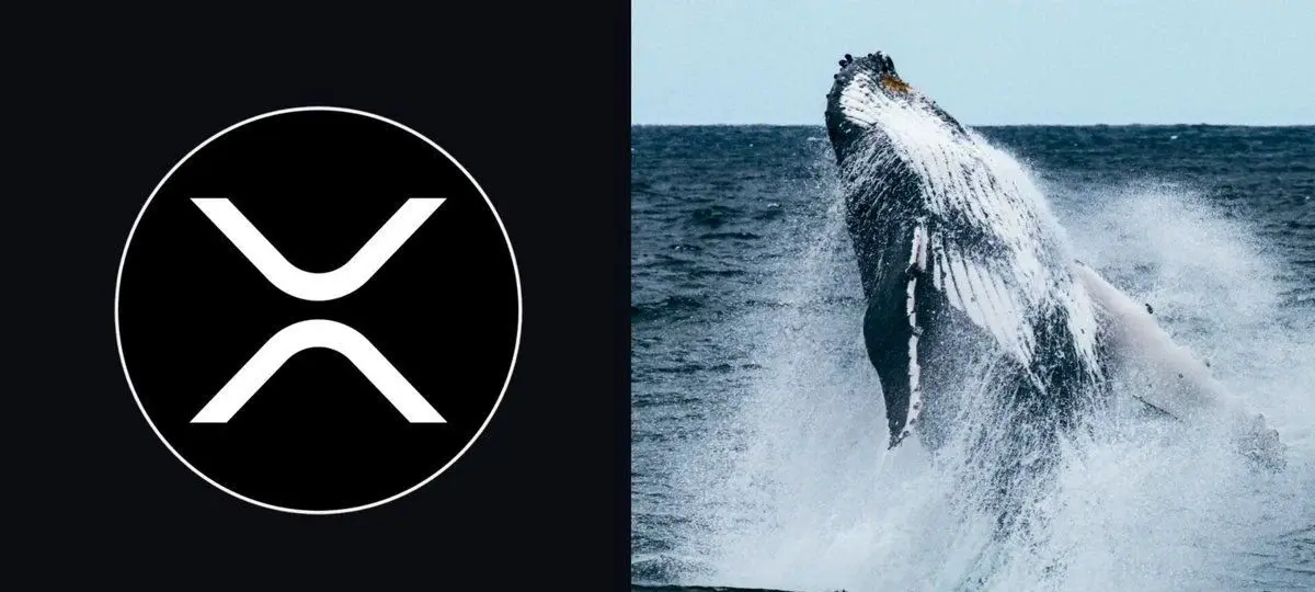XRP با توجه به اینکه دارندگان بزرگ مقاومت کلید را هدف قرار میدهند، افزایش مییابند