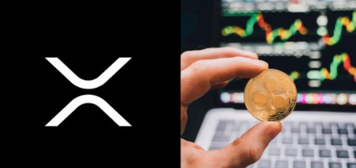 3 میلیون تراکنش روزانه، حجم DEX هفتگی XRPL 45 درصد افزایش می یابد