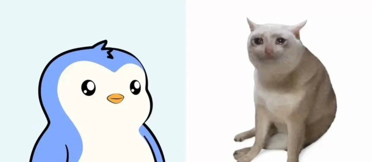 Pengu، Cashcat و PumpFun رهبری بسته را بر عهده دارند