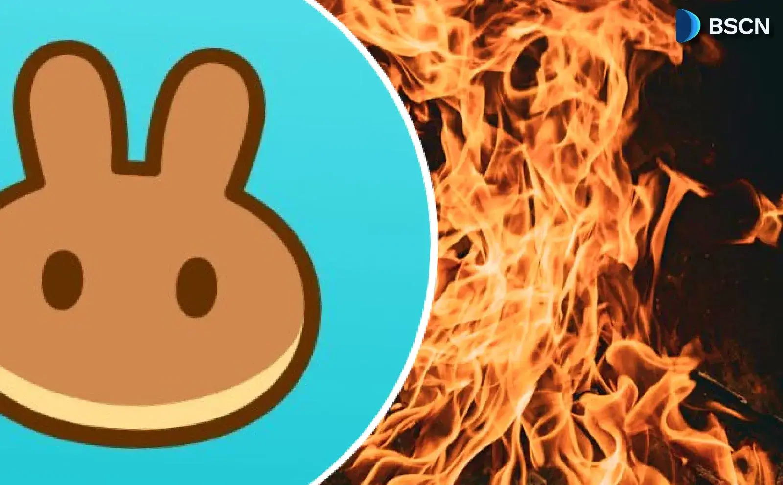 سوزاندن توکنهای CAKE در PancakeSwap چگونه انجام میشود؟