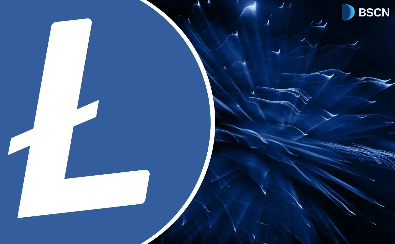 بینش: وضعیت Litecoin LTC در سال 2026