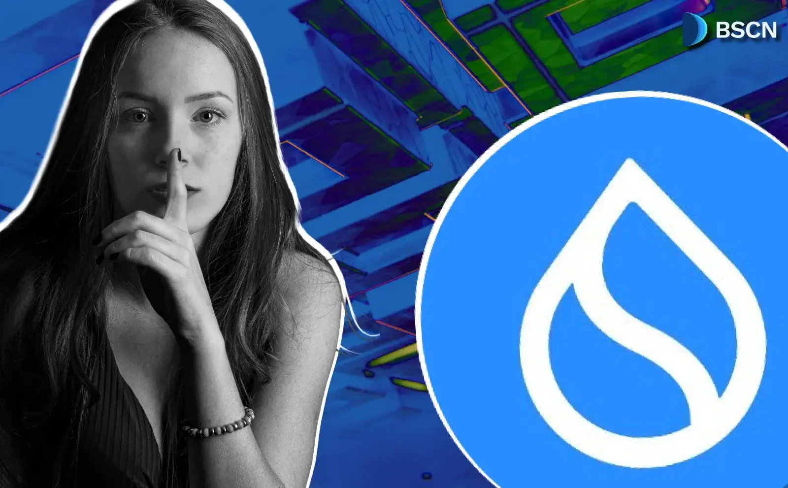 سوئی جدیدترین بلاکچین حریم خصوصی؟ توضیح انتقالات محرمانه