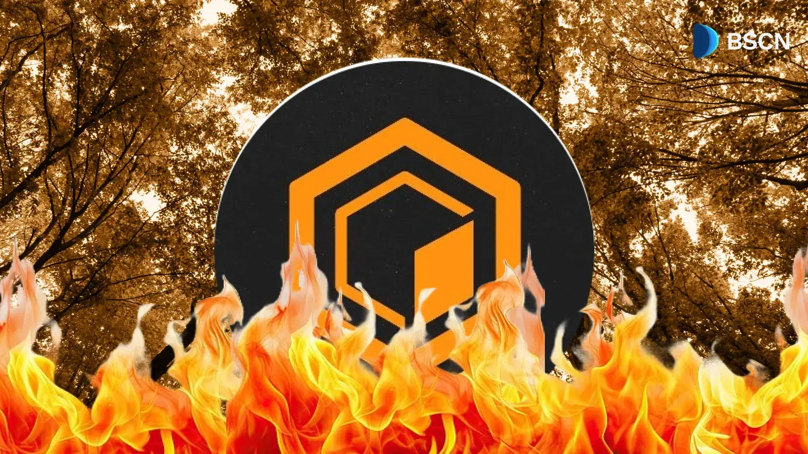 Core DAO's Token Burn چگونه کار می کند و برای تامین طولانی مدت چه معنایی دارد؟