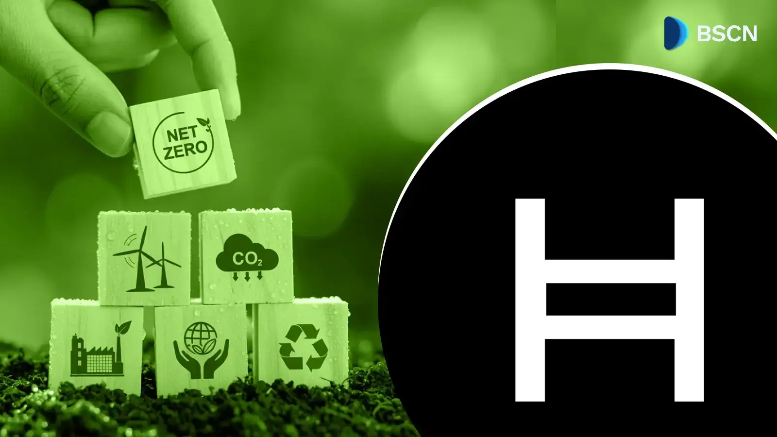 Hedera چگونه اعتبارات کربن و ردیابی زنجیره تامین را تغییر می دهد؟